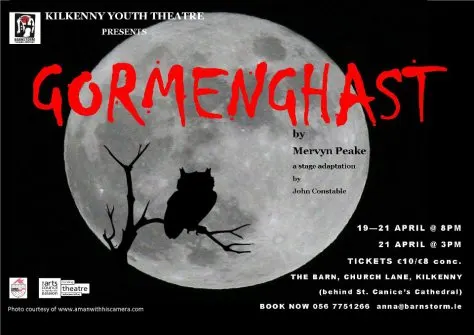 Kilkenny Youth Theatre Poster