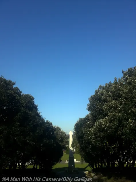 Day 50 Clear Blue Sky