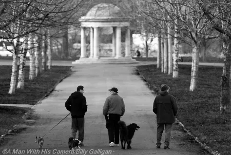 Day 48 Dog Walkers