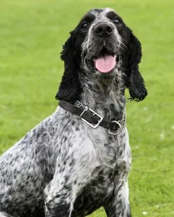 Floyd in Park (7)