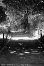 Irish Landscapes (11)