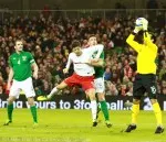 Rep of Ireland 2-0 Poland Friendly Feb 2013 (23)