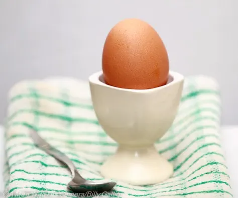 Day 90 Egg
