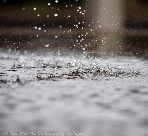 Day 91 Drops Water