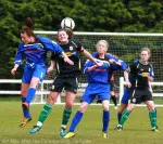 Womens Cup  Final 2013 Castlebar v Peamount (23)