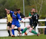 Womens Cup  Final 2013 Castlebar v Peamount (27)