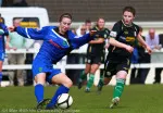 Womens Cup  Final 2013 Castlebar v Peamount (36)