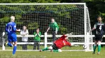 Womens Cup  Final 2013 Castlebar v Peamount (39)