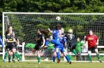 Womens Cup  Final 2013 Castlebar v Peamount (42)