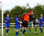 Womens Cup  Final 2013 Castlebar v Peamount (46)