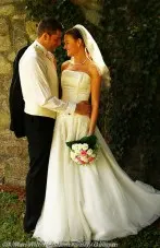 Weddings (111)