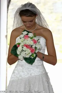 Weddings (88)